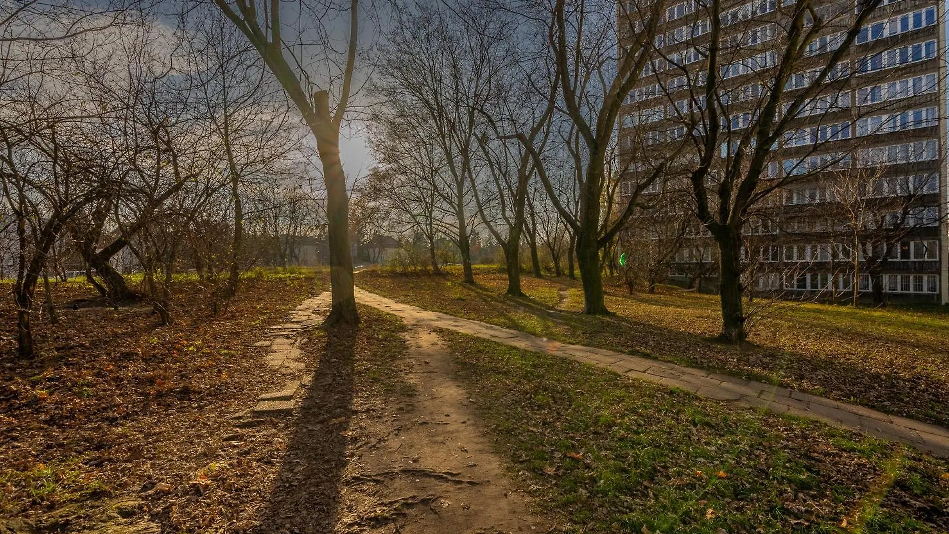 Kozmiana Apartment - Workspace, Bus&Park Nearby - By Rentujemy Warschau Polen